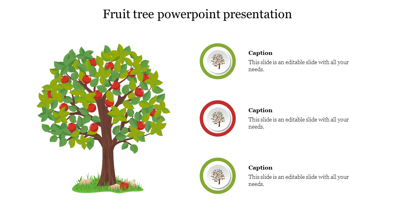 Fruit Tree PowerPoint Presentation Template & Google Slides
